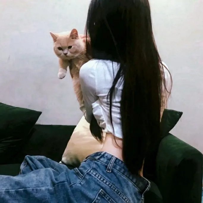 三角梅